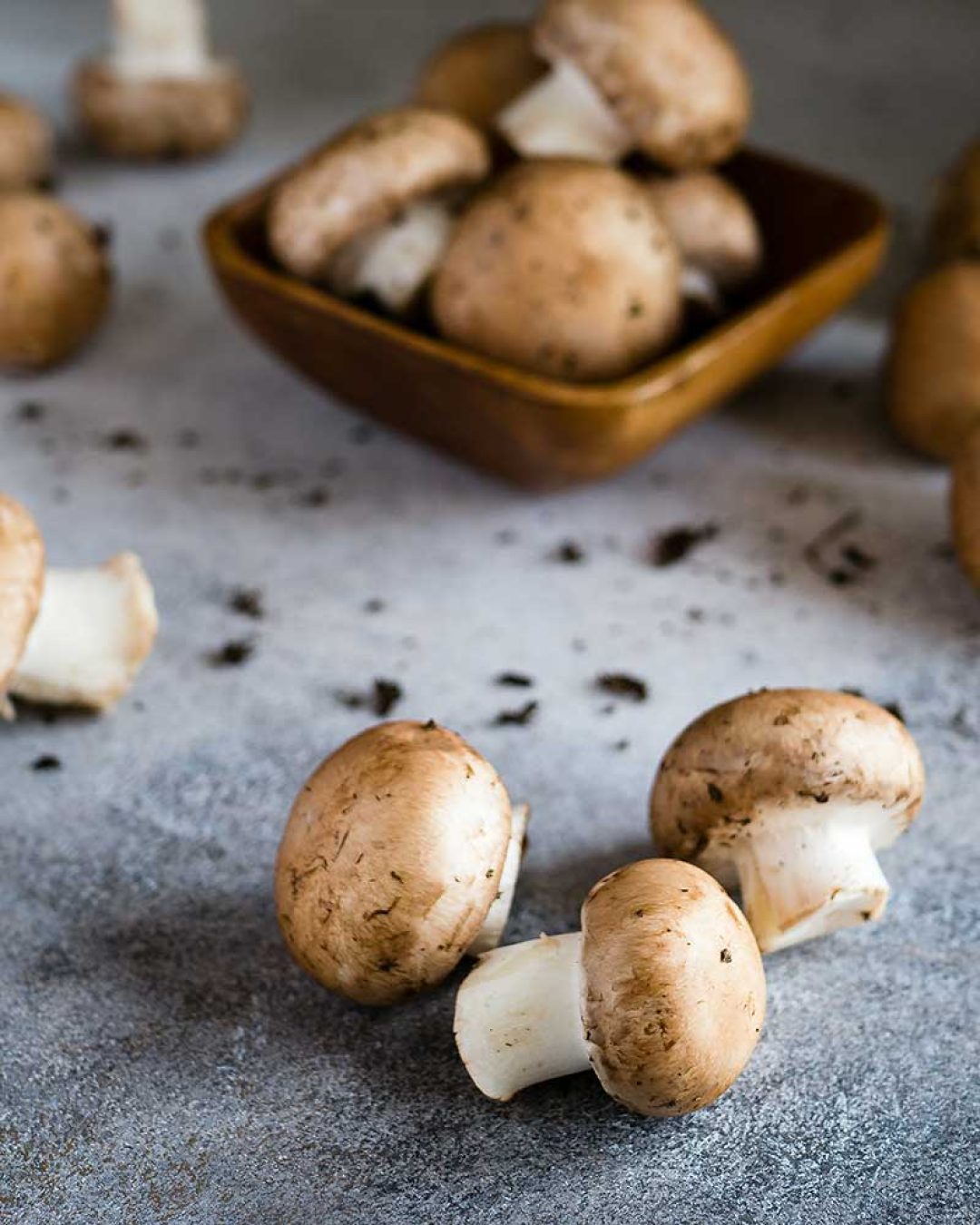 funghi-ver
